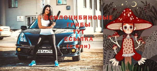 марки nbome Алексеевка