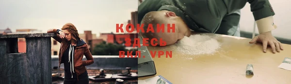 амф Алексин
