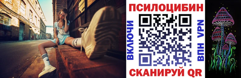 Псилоцибиновые грибы Cubensis  Богородицк 
