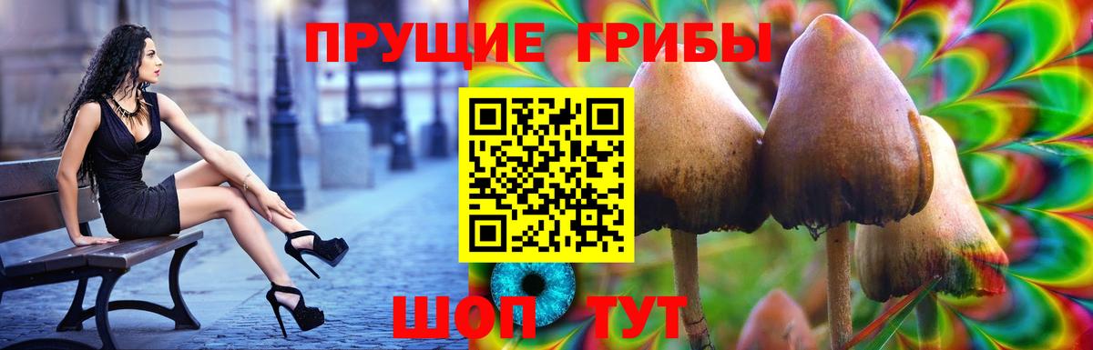 наркота  Псилоцибиновые грибы ЛСД  Вход с VPN  Богородицк 