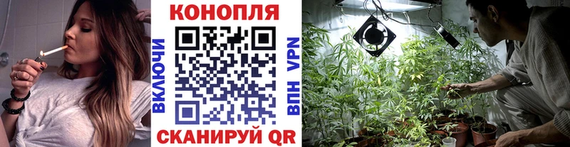 где продают   Богородицк  блэк спрут как зайти  Конопля тримм 